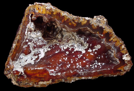 Quartz var. Agate pseudomorphs after Coral (Tampa Bay Coral) from Suwanee River, Suwanee County, Florida