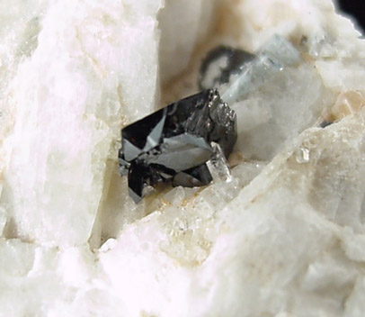 Cassiterite and Apatite from Plumbago Mountain, Newry, Maine