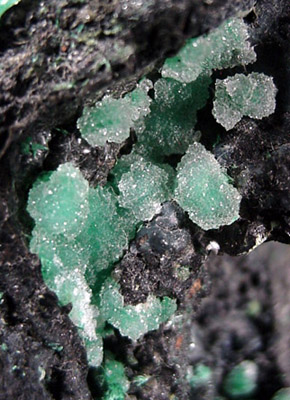 Chrysocolla and Malachite from Jarilla Mountains, Orogrande District, Otero County, New Mexico