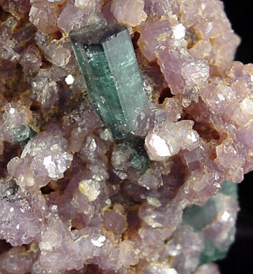 Elbaite Tourmaline in Lepidolite from Minas Gerais, Brazil