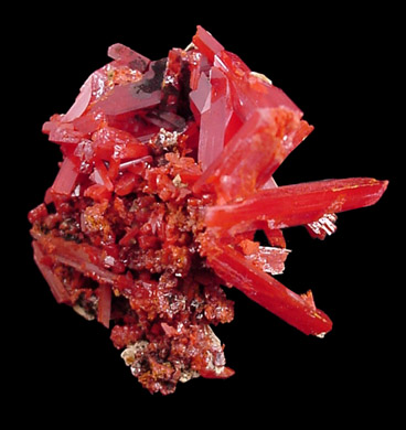 Crocoite from Dundas, Tasmania, Australia