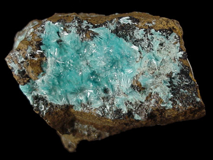 Aurichalcite from Sterling Mine, Ogdensburg, Sterling Hill, Sussex County, New Jersey