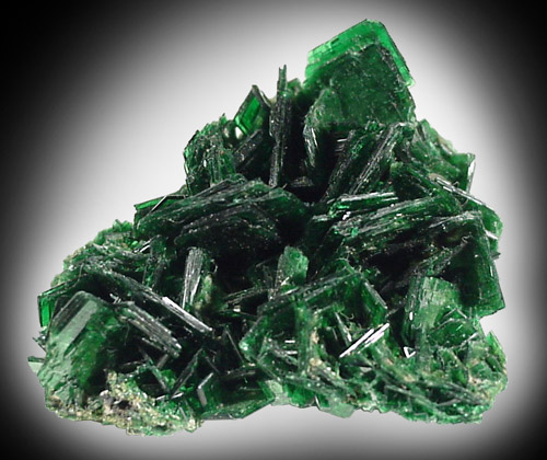 Torbernite from Musonoi Mine, Kolwezi District, Katanga Copperbelt, Lualaba Province, Democratic Republic of the Congo