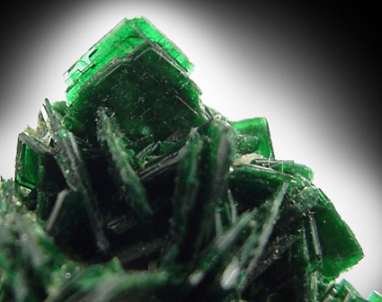 Torbernite from Musonoi Mine, Kolwezi District, Katanga Copperbelt, Lualaba Province, Democratic Republic of the Congo