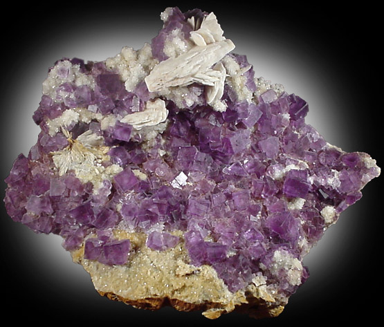 Fluorite and Barite from Berbes Mine, Ribidisella, Oviedo, Asturias, Spain