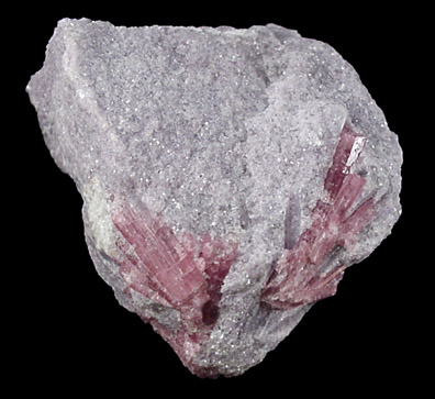 Elbaite var. Rubellite Tourmaline in Lepidolite from Pala, San Diego County, California