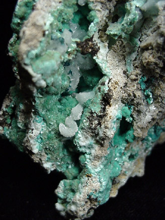 Aurichalcite from Mapimi District, Durango, Mexico