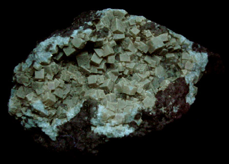 Fluorite from Clay Center Quarry, Ottawa County, Ohio