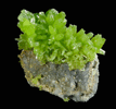 Pyromorphite from Yang Shao, near Guilin, Guangxi Province, China