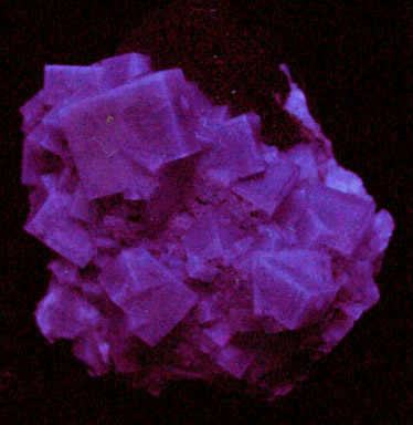 Fluorite and Galena from Frazer's Hush Mine, 260 level, Rookhope, Weardale, County Durham, England