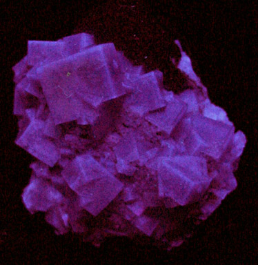Fluorite and Galena from Frazer's Hush Mine, 260 level, Rookhope, Weardale, County Durham, England