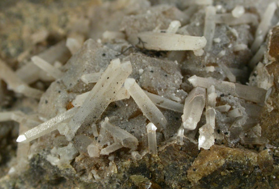 Quartz var. Japan Law-twinned with Andradite Garnet from Washington Camp-Duquesne District, Santa Cruz County, Arizona