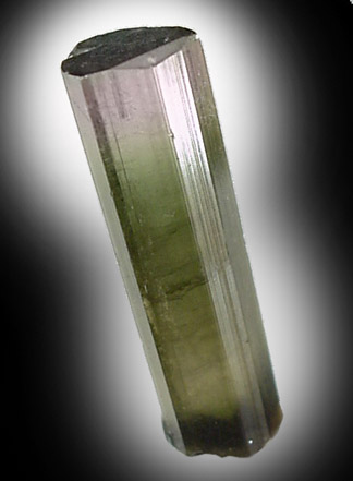 Elbaite Tourmaline from Himalaya Mine, San Diego County, California