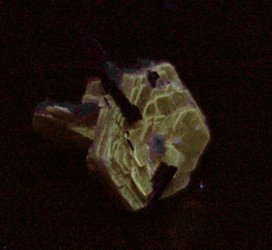 Polylithionite with Aegirine from Poudrette Quarry, Mont St. Hilaire, Qubec, Canada