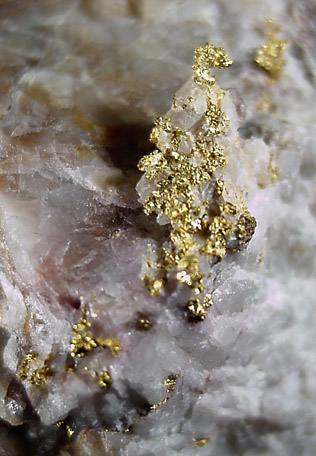 Gold in Quartz from Eagle's Nest Mine, Placer County, California