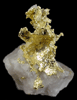 Gold in Quartz from Jamestown Mining District, Tuolumne County, California