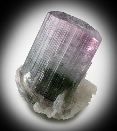 Elbaite Tourmaline from Cruzeiro Mine, Minas Gerais, Brazil