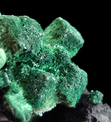 Malachite pseudomorph after Azurite from New Cornelia Mine, Ajo, Pima County, Arizona