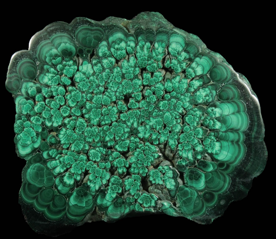 Malachite from Lubumbashi, Katanga Copperbelt, Haut-Katanga Province, Democratic Republic of the Congo