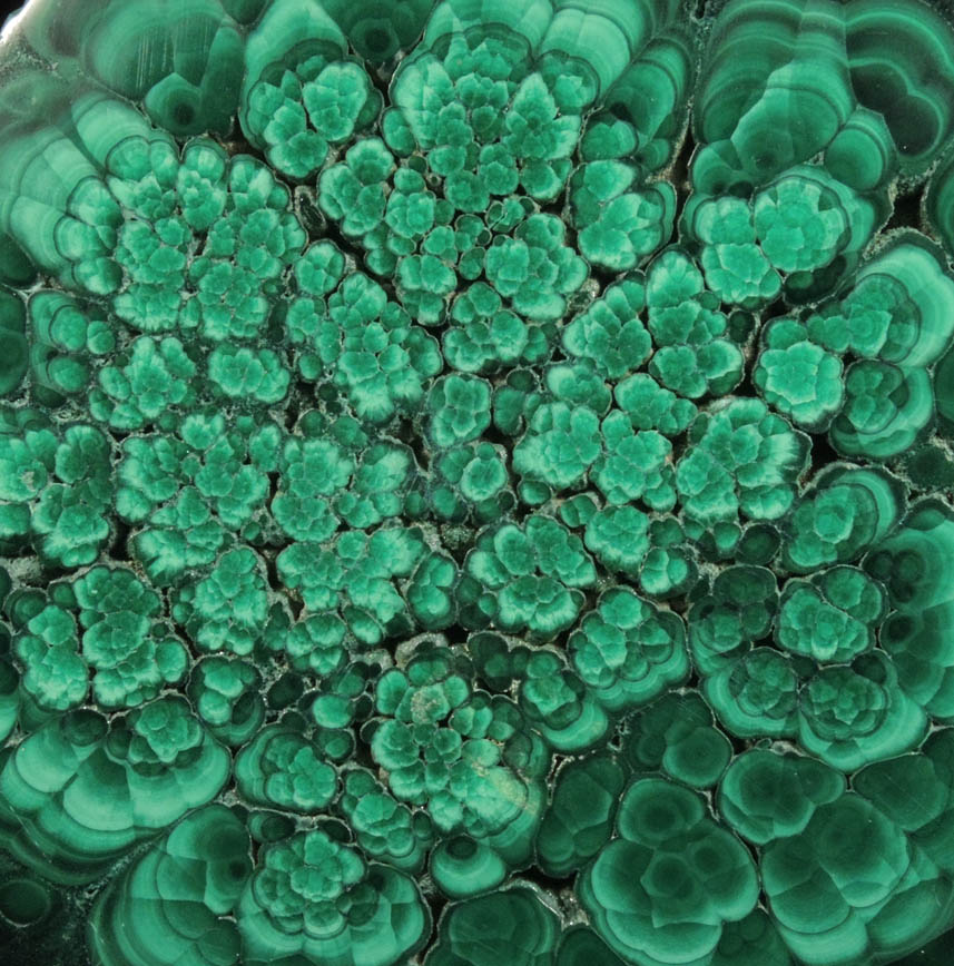 Malachite from Lubumbashi, Katanga Copperbelt, Haut-Katanga Province, Democratic Republic of the Congo
