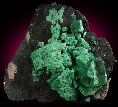 Malachite pseudomorph after Azurite from New Cornelia Mine, Ajo, Pima County, Arizona