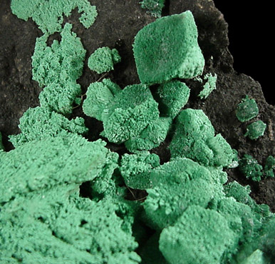 Malachite pseudomorph after Azurite from New Cornelia Mine, Ajo, Pima County, Arizona