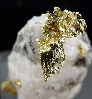 Gold in Quartz from Jamestown Mining District, Tuolumne County, California