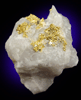 Gold in Quartz from Jamestown Mining District, Tuolumne County, California