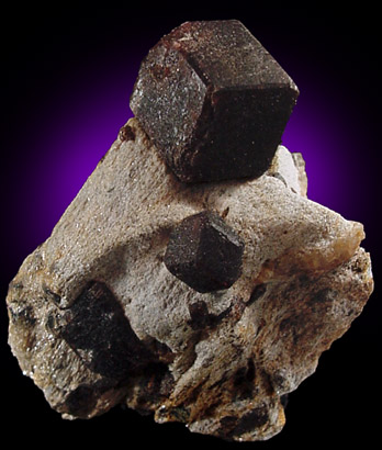 Almandine Garnet with Staurolite from Green's Farm, 750 m. ESE of Roxbury Falls, Roxbury, New Haven County, Connecticut