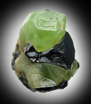Forsterite var. Peridot with Magnetite from Suppat, Naran-Kagan Valley, Kohistan District, Khyber Pakhtunkhwa (North-West Frontier Province), Pakistan