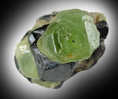 Forsterite var. Peridot with Magnetite from Suppat, Naran-Kagan Valley, Kohistan District, Khyber Pakhtunkhwa (North-West Frontier Province), Pakistan