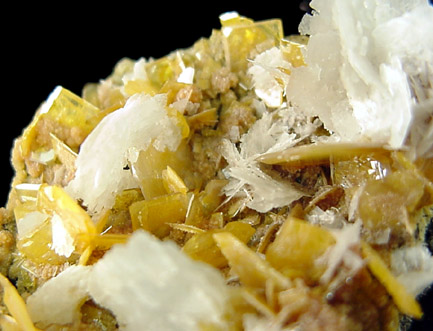 Wulfenite, Mimetite, Barite from San Francisco Mine, Sonora, Mexico