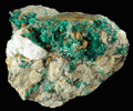 Brochantite from Mex-Texx Mine, Bingham, New Mexico