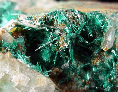 Brochantite from Mex-Texx Mine, Bingham, New Mexico