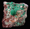 Malachite from Northwest Extension, Morenci Mine, Clifton District, Greenlee County, Arizona