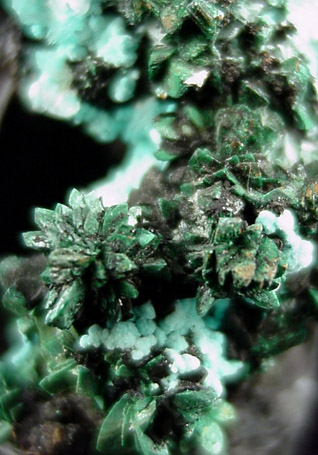 Malachite and Azurite from Omega Mine, Pima County, Arizona