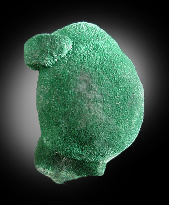 Malachite from New Cornelia Mine, Ajo, Pima County, Arizona