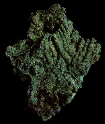 Descloizite pseudomorph after Cerussite from Chah Mileh, Anarak District, Esfahan Province, Iran