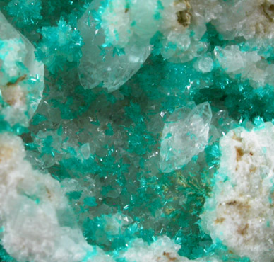 Dioptase from Christmas Mine, Banner District, Gila County, Arizona