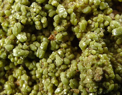 Pyromorphite from Driggith Mine, Caldbeck Fells, Cumbria, England