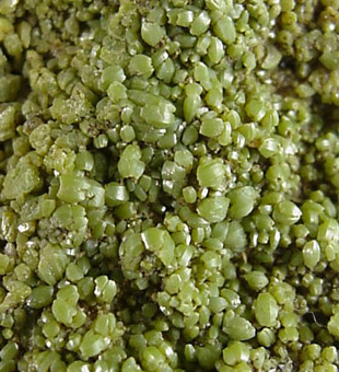 Pyromorphite from Driggith Mine, Caldbeck Fells, Cumbria, England