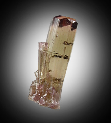 Elbaite Tourmaline from Malchanskoye (Malkhan) pegmatite field, Chitinskaya Oblast', Transbaikalia, Siberia, Russia