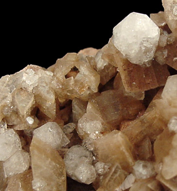 Analcime on Heulandite from Cape Split, Nova Scotia, Canada