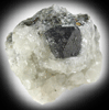 Magnetite, Chalcopyrite, Calcite from Laurel Hill (Snake Hill) Quarry, Secaucus, Hudson County, New Jersey