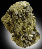 Epidote from Calumet Mine, 12 km NNE of Salida, Chaffee County, Colorado