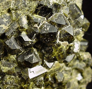 Epidote from Calumet Mine, 12 km NNE of Salida, Chaffee County, Colorado