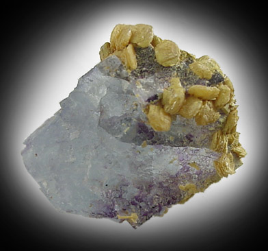 Wulfenite on Fluorite from Hansonburg District, 8.5 km south of Bingham, Socorro County, New Mexico