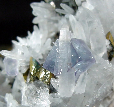 Fluorite, Chalcopyrite, Quartz from Sweet Home Mine, Alma, Colorado