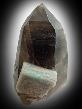 Quartz var. Smoky with Microcline from Crystal Peak area, 6.5 km northeast of Lake George, Park-Teller Counties, Colorado