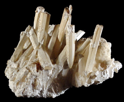 Gypsum variety Selenite from Gyp Cave, Nevada